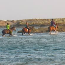 Horse riding in Naxos Greece